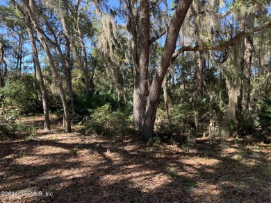 (private lake, pond, creek) Lot For Sale in Interlachen Florida