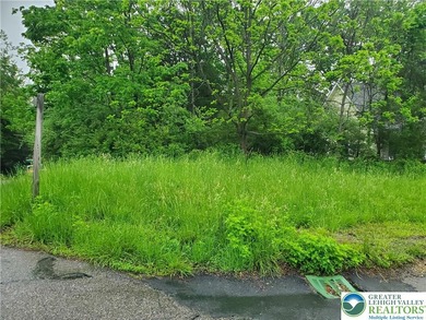 Delaware River - Northampton County Lot For Sale in Upper Mt Bethel Twp Pennsylvania