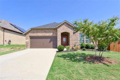 Lake Home For Sale in Little Elm, Texas