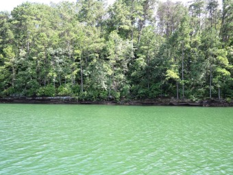 DEEP WATER! SOLD - Lake Lot SOLD! in Double Springs, Alabama