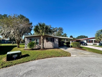 Lake Home For Sale in Lady Lake, Florida