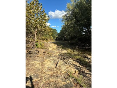 If you've been dreaming of land where you can hunt, raise cattle - photo 21