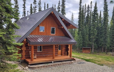 Lake Home Sale Pending in Salcha, Alaska