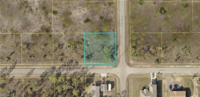 Lehigh Acres Area Lot For Sale in Lehigh Acres Florida