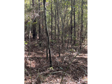 Lake O The Pines Lot For Sale in Jefferson Texas