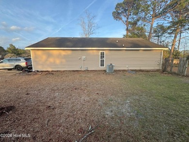 Gorgeous home! In walking distance to the Newport Dog Park - photo 4