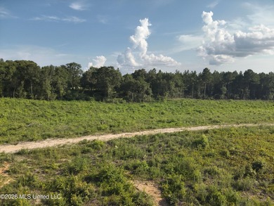Here's your chance to own a sizeable piece of South Mississippi - photo 11