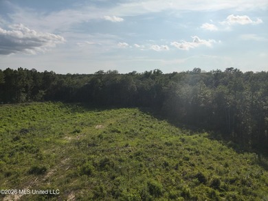 Here's your chance to own a sizeable piece of South Mississippi - photo 12
