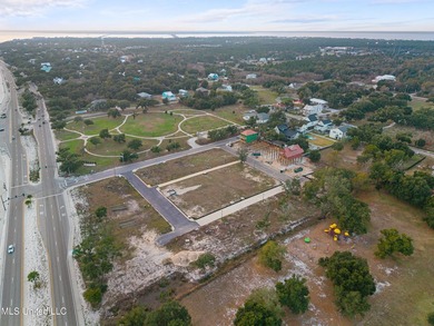 Build your coastal dream in Trinity Park Subdivision. Just steps - photo 13