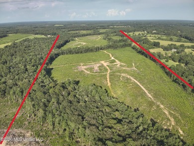 Here's your chance to own a sizeable piece of South Mississippi - photo 14