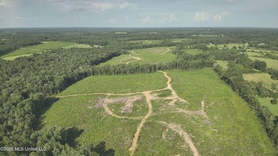 Here's your chance to own a sizeable piece of South Mississippi - photo 15