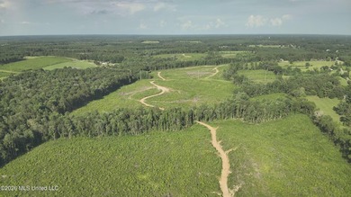 Here's your chance to own a sizeable piece of South Mississippi - photo 16