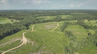 Here's your chance to own a sizeable piece of South Mississippi - photo 18