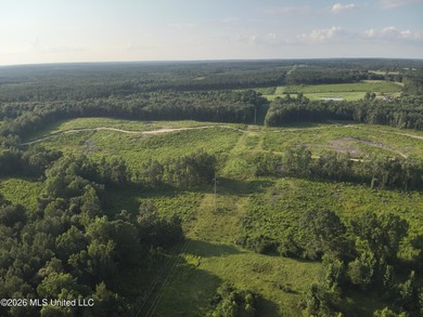 Here's your chance to own a sizeable piece of South Mississippi - photo 20