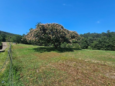 (private lake, pond, creek) Acreage For Sale in Purgitsville West Virginia