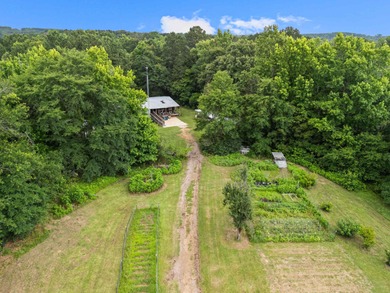 Welcome to your own slice of East Texas paradise! This unique