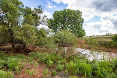 (private lake, pond, creek) Acreage Sale Pending in Mclean Texas