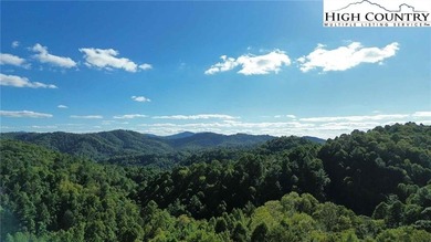 Lake Acreage For Sale in Creston, North Carolina