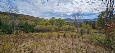 Pepacton Reservoir Acreage For Sale in Andes New York