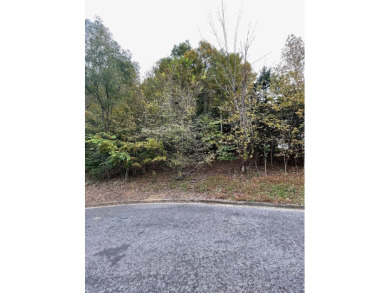 Boone Lake Lot For Sale in Johnson City Tennessee