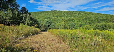94 ACRES WITH PANORAMIC VIEWS, PRIVACY AND WATER: This - photo 3