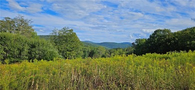 94 ACRES WITH PANORAMIC VIEWS, PRIVACY AND WATER: This - photo 4