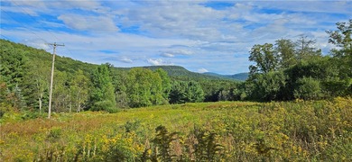 94 ACRES WITH PANORAMIC VIEWS, PRIVACY AND WATER: This - photo 5