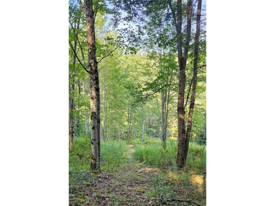 94 ACRES WITH PANORAMIC VIEWS, PRIVACY AND WATER: This - photo 6