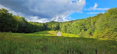 94 ACRES WITH PANORAMIC VIEWS, PRIVACY AND WATER: This - photo 10