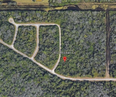 Lehigh Acres Area Lot For Sale in Lehigh Acres Florida