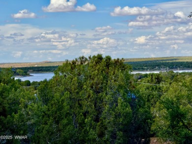 Lake Lot Sale Pending in Show Low, Arizona