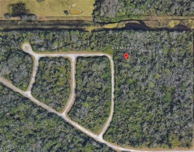 Lehigh Acres Area Lot For Sale in Lehigh Acres Florida