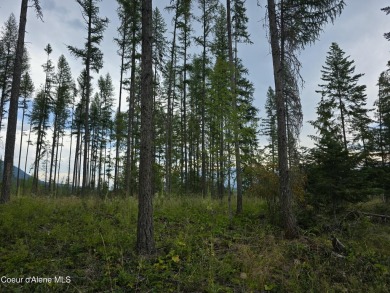 (private lake, pond, creek) Acreage For Sale in Bonners Ferry Idaho