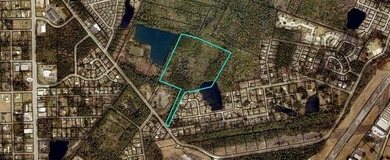 22.09 Acres off of Palmetto Street behind the Pines Apartments - photo 1