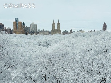 (private lake, pond, coastal) Apartment For Sale in New York New York