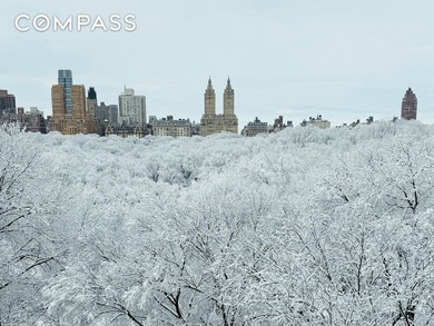 A rare opportunity to experience Central Park from one of Fifth - photo 10