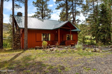 Lake Home For Sale in Greer, Arizona