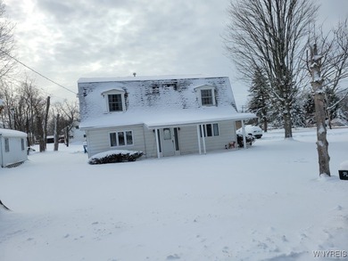 Lake Erie Home For Sale in Angola New York