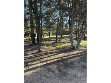 Show Low Lake Lot For Sale in Lakeside Arizona