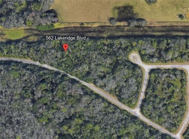 Lehigh Acres Area Lot For Sale in Lehigh Acres Florida