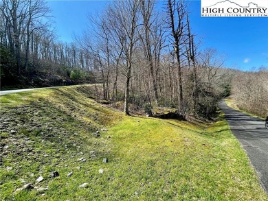 (private lake, pond, coastal) Lot For Sale in Blowing Rock North Carolina