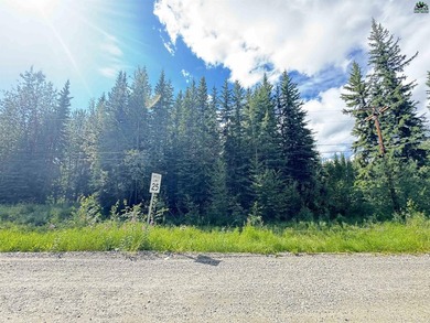 Lot is a little over an acre on the corner of Repp and Christine - photo 4