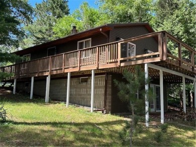 Lake Home For Sale in Shamrock Twp, Minnesota