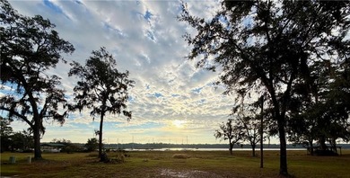 (private lake, pond, coastal) Home For Sale in Townsend Georgia