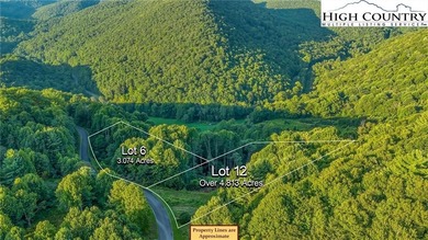 (private lake, pond, coastal) Acreage For Sale in Todd North Carolina