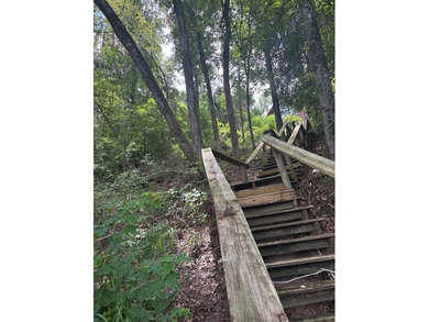 **Lakefront** Escape to the peaceful beauty of lakeside living - photo 14