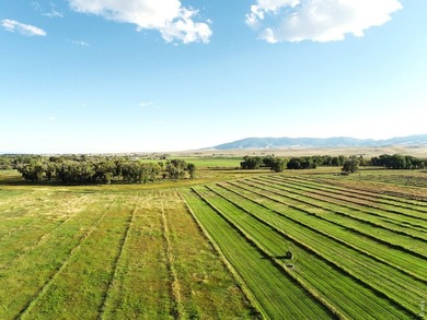 Rio Grande Sanctuary Ranch covers roughly 368 acres and offers - photo 4