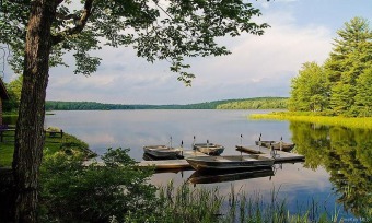 Lake Joseph Acreage For Sale in Monticello New York