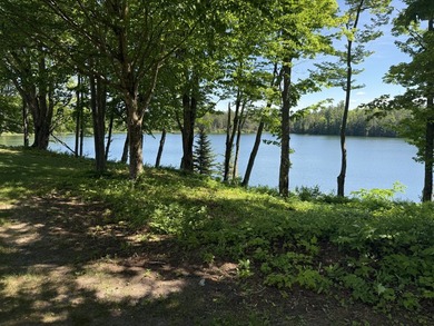 Halfway Lake Cottages is a turnkey waterfront resort on - photo 32