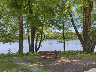 Halfway Lake Cottages is a turnkey waterfront resort on - photo 34
